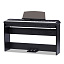 Цифровое пианино Pearl River P200 BK + W-стойка + 3 педали